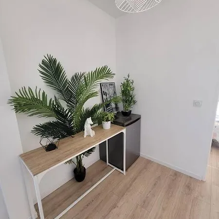 Appartement Superbe T2 Avec Parking Albi