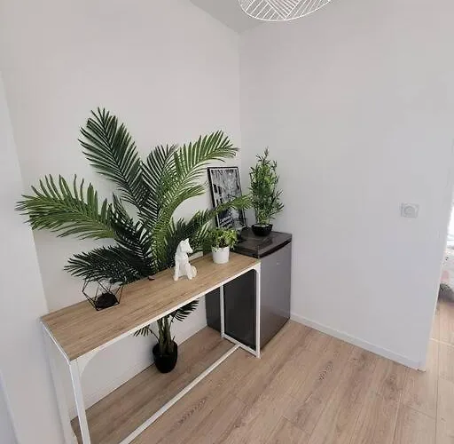 Appartement Superbe T2 Avec Parking Albi